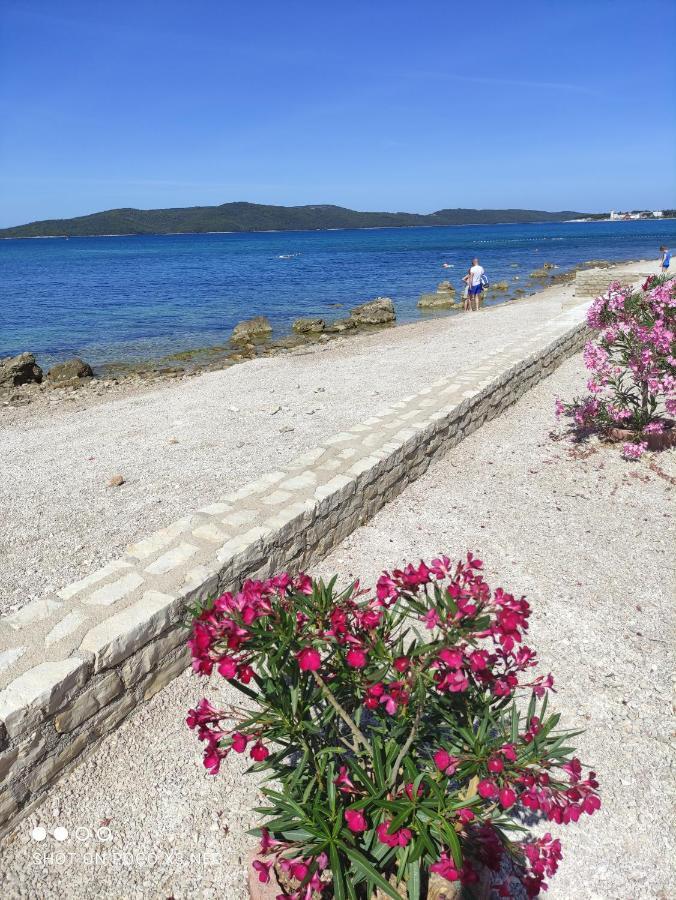 Apartmani Lana Šibenik Exterior foto